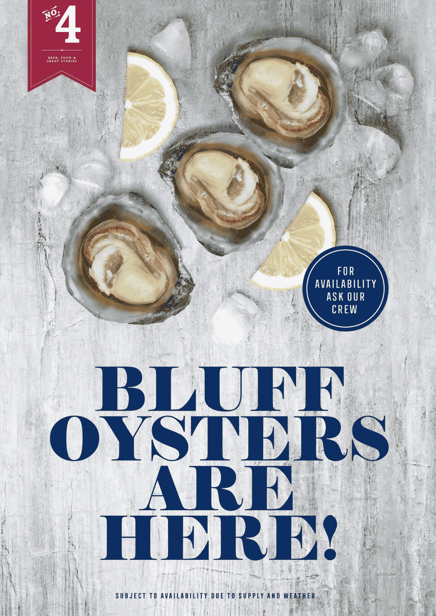 No4 Bluff Oysters Available Web Friendl